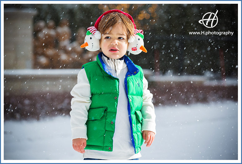 professional pictures in winter Highland park IL