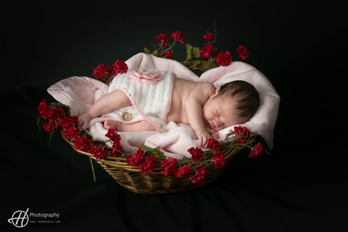 newborn-photography-Algonquin