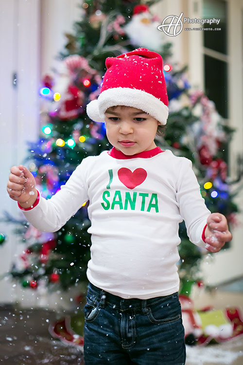 I love Santa t shirt
