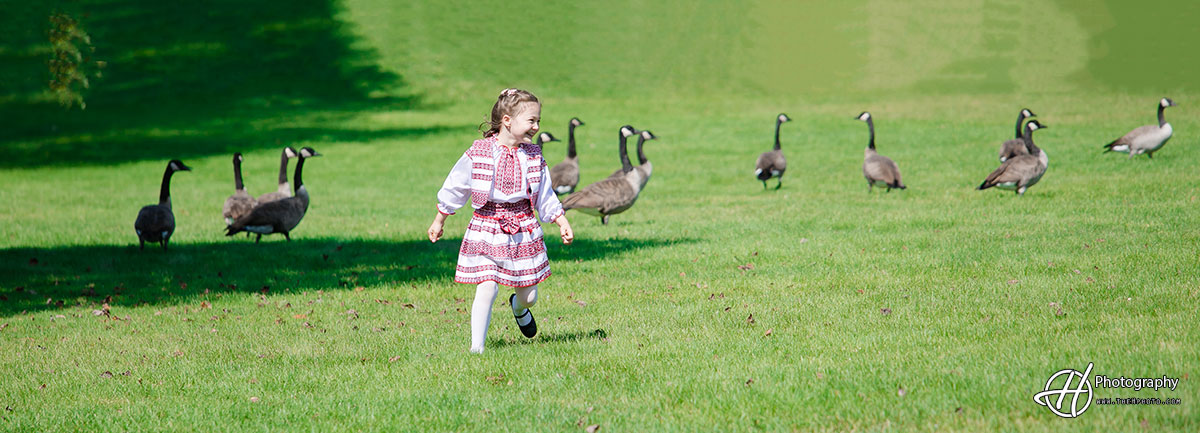 playing with geese