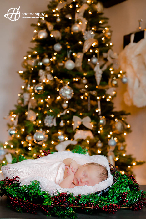 Christmas tree and newborn