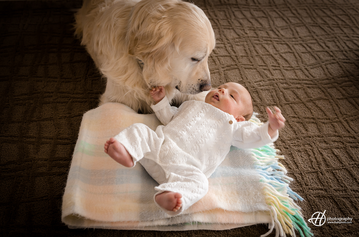 In this photo, the protective family dog named Ace watches over a newborn Noah, keeping them safe and secure. The baby is sound asleep, while Ace sits close by, looking at them with devotion and care