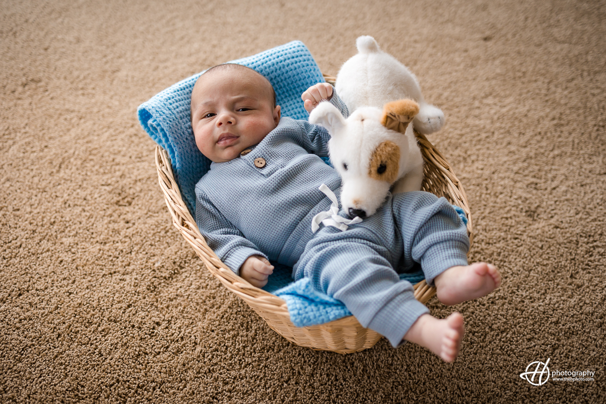 This image shows a serene moment of a newborn baby resting in a basket, with a dog toy close by. The image conveys a sense of innocence and purity, with the baby appearing to be lost in peaceful thoughts.