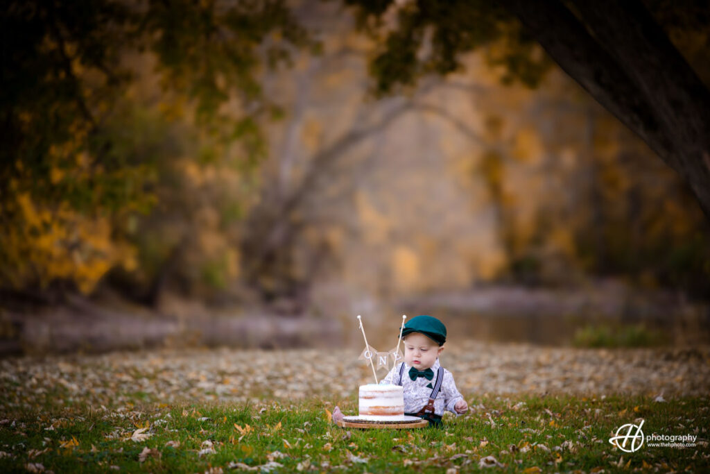 smash the cake photo session in Algonquin IL